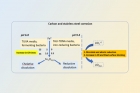 Коррозия углеродистой и нержавеющей стали / &copy; 2024 ИФХЭ РАН, Elsevier B.V.