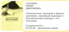 Представление кандидатской диссертации Р.Д. Соловова к защите