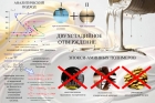 &copy; 2025 Ольга Макарова / Пресс-служба ИФХЭ РАН
